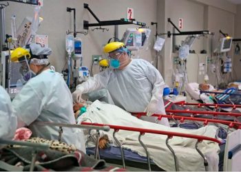 Muchos Nano´s mueren todos los días