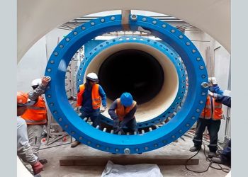 La ignorancia es atrevida