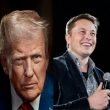 Trump / Musk