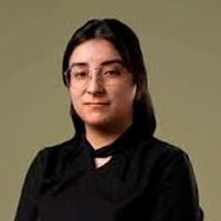 El Perú frente a un nuevo orden regional