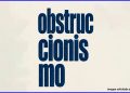 Cayendo en el obstruccionismo