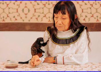 Cuando el Perú aprende a mirar de nuevo