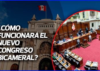 La agencia revisora en el proceso legislativo en el Perú