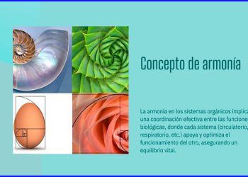 El Senado debe complementar