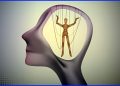 ¿Existen las leyes procrimen?